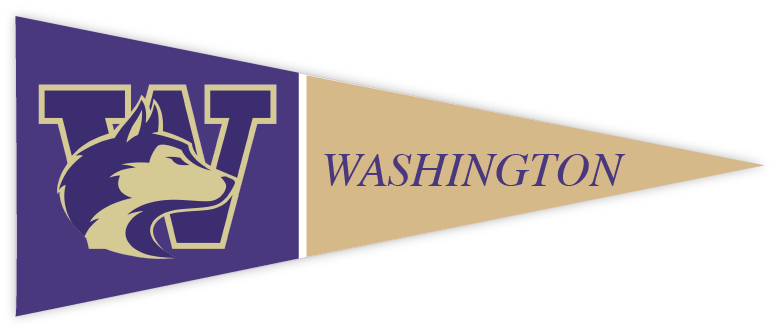 University of Washington banner