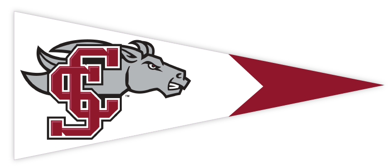 Santa Clara 2 flag