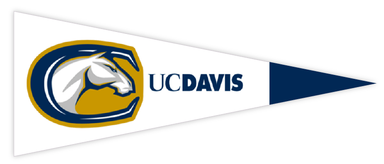 UC davis 4 Flag