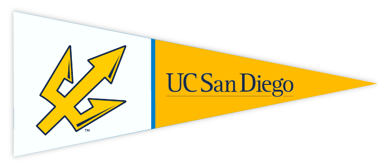 UCSD San Diego_Flag